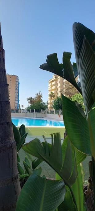 Elegante Alojamiento Con Piscina A 200 M Del Mar. Lägenhet Benalmádena Exteriör bild